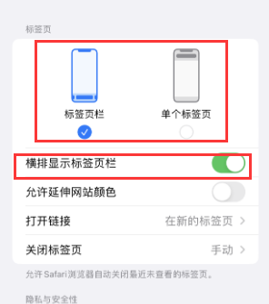 荷塘iPhone授权维修分享Safari浏览器如何切换标签栏位置 